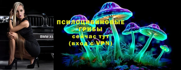 прущие крисы Михайлов