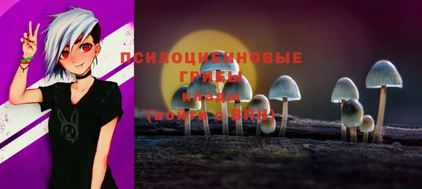 не бодяженный Михайловск