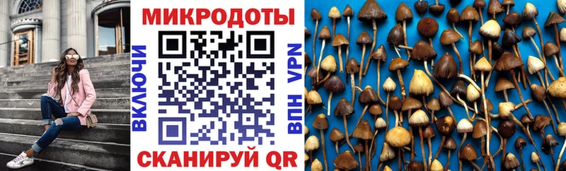 как найти закладки  Тбилисская  Галлюциногенные грибы прущие грибы 